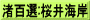 渚百選:桜井海岸