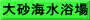大砂海水浴場