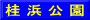 桂 浜 公 園