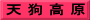 天 狗 高 原