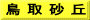 鳥 取 砂 丘