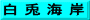 白 兎 海 岸