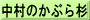 中村のかぶら杉