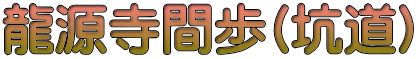 龍源寺間歩(坑道)