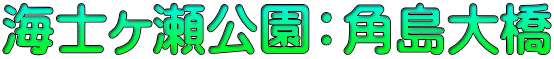 海士ヶ瀬公園：角島大橋