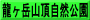 龍ヶ岳山頂自然公園