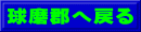 球磨郡へ戻る