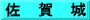 佐　賀　城