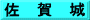 佐　賀　城