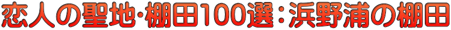 恋人の聖地･棚田100選：浜野浦の棚田