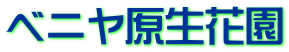 ベニヤ原生花園