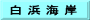 白 浜 海 岸