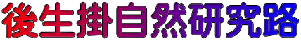 後生掛自然研究路