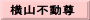 横山不動尊