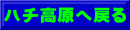 ハチ高原へ戻る