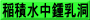 稲積水中鍾乳洞