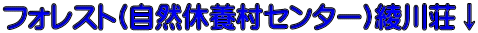 フォレスト(自然休養村センター)綾川荘↓