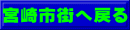 宮崎市街へ戻る