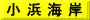 小 浜 海 岸