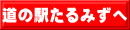 道の駅たるみずへ