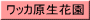 ワッカ原生花園