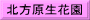 北方原生花園