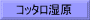 コッタロ湿原