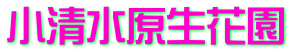 小清水原生花園