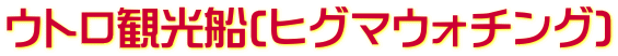 ウトロ観光船(ヒグマウォチング)