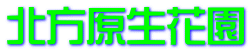 北方原生花園