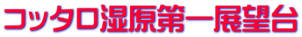 コッタロ湿原第一展望台