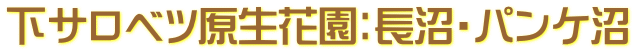 下サロベツ原生花園：長沼・パンケ沼
