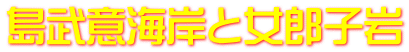 島武意海岸と女郎子岩