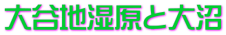 大谷地湿原と大沼