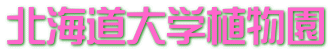 北海道大学植物園